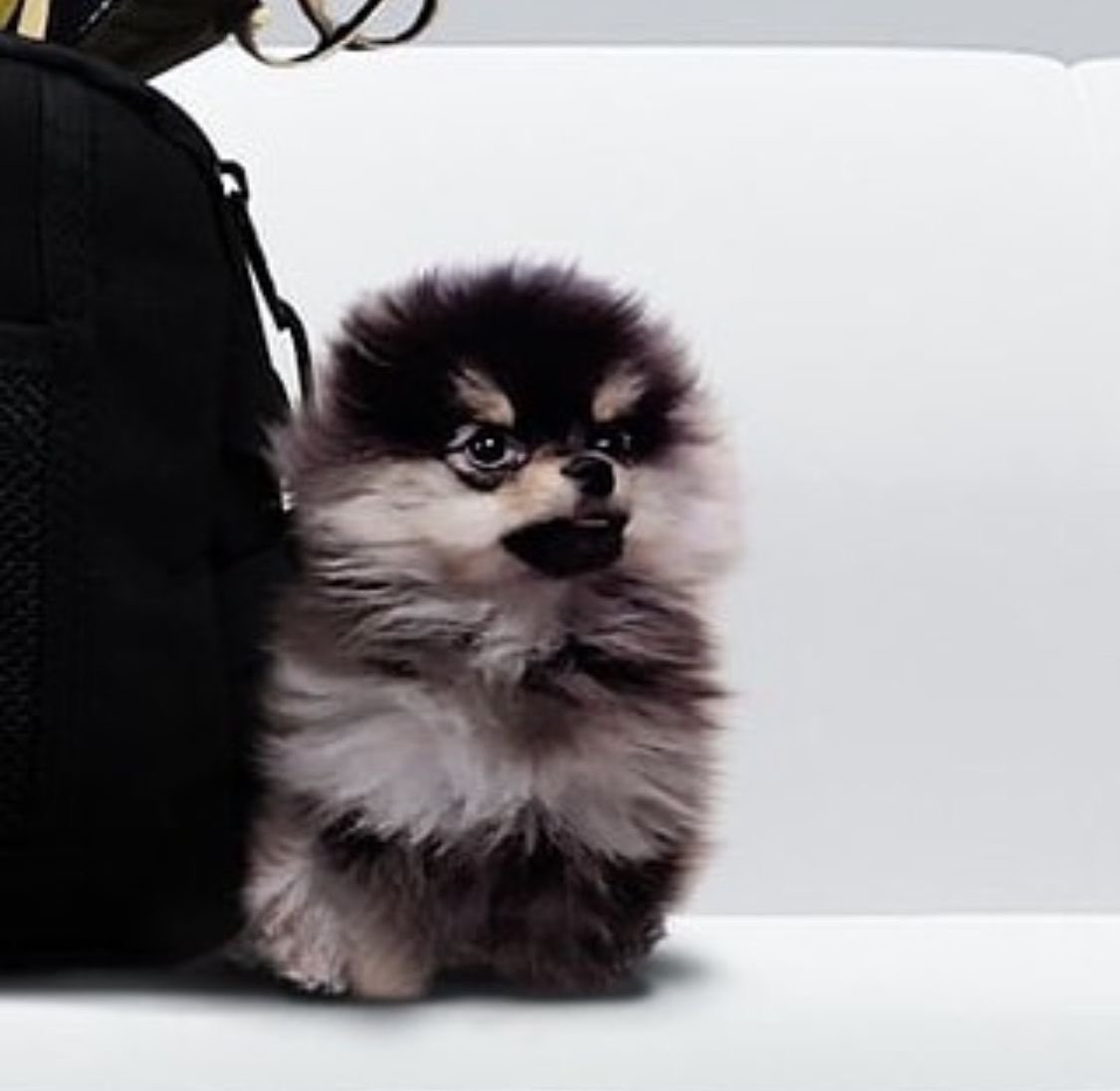 memorialYeontan's tweet image. 