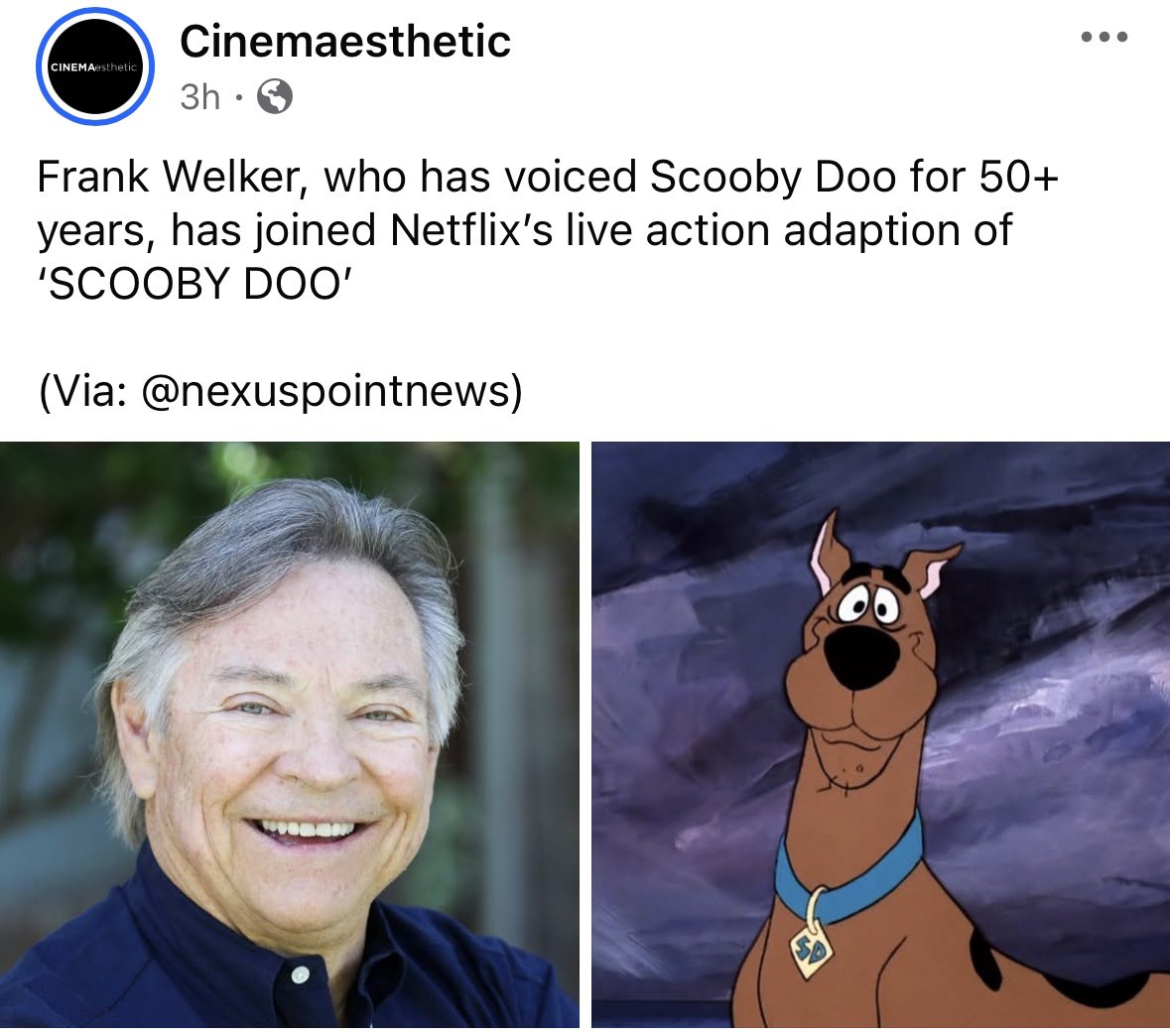 ScoobyAddict tweet media