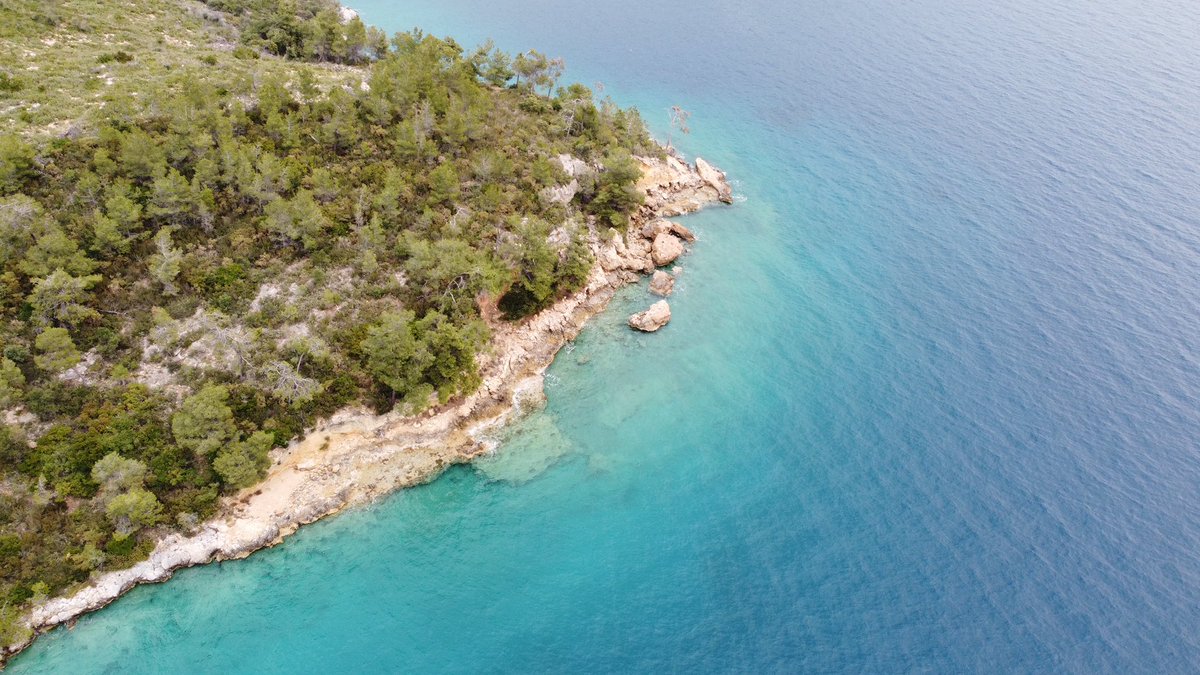 Kimler erkenci bir bakalım