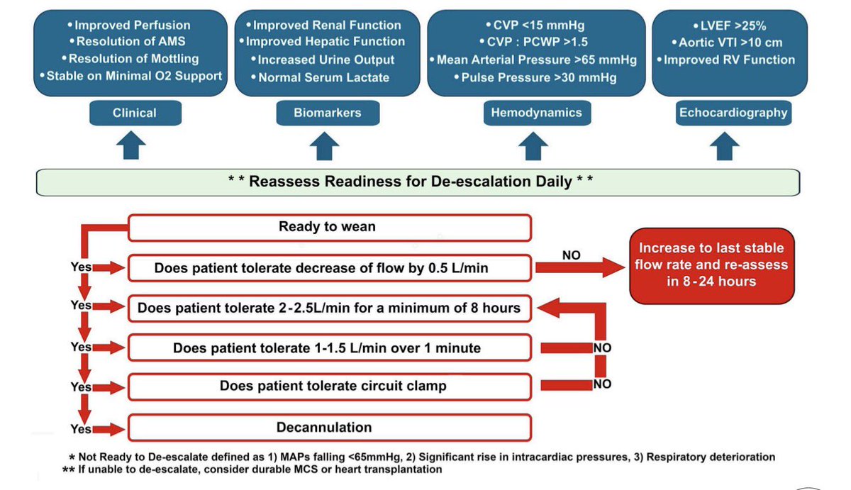 Nikhil15's tweet image. Attn #ACCFIT on CCU blocks, check out our our #openaccess comprehensive review on the use of VA-ECMO in Cardiogenic Shock⚡️ 

We cover: 
✅ Trial Data
✅ Indications, best daily practices
✅ Configurations
✅ Weaning and more!

📄 mdpi.com/2308-3425/12/1…