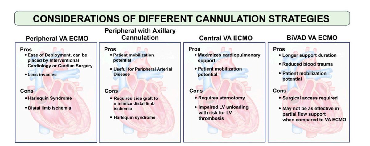 Nikhil15's tweet image. Attn #ACCFIT on CCU blocks, check out our our #openaccess comprehensive review on the use of VA-ECMO in Cardiogenic Shock⚡️ 

We cover: 
✅ Trial Data
✅ Indications, best daily practices
✅ Configurations
✅ Weaning and more!

📄 mdpi.com/2308-3425/12/1…