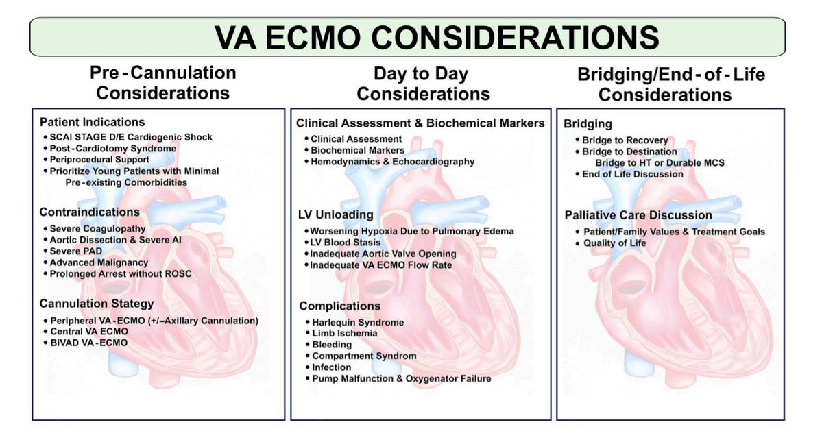 Nikhil15's tweet image. Attn #ACCFIT on CCU blocks, check out our our #openaccess comprehensive review on the use of VA-ECMO in Cardiogenic Shock⚡️ 

We cover: 
✅ Trial Data
✅ Indications, best daily practices
✅ Configurations
✅ Weaning and more!

📄 mdpi.com/2308-3425/12/1…