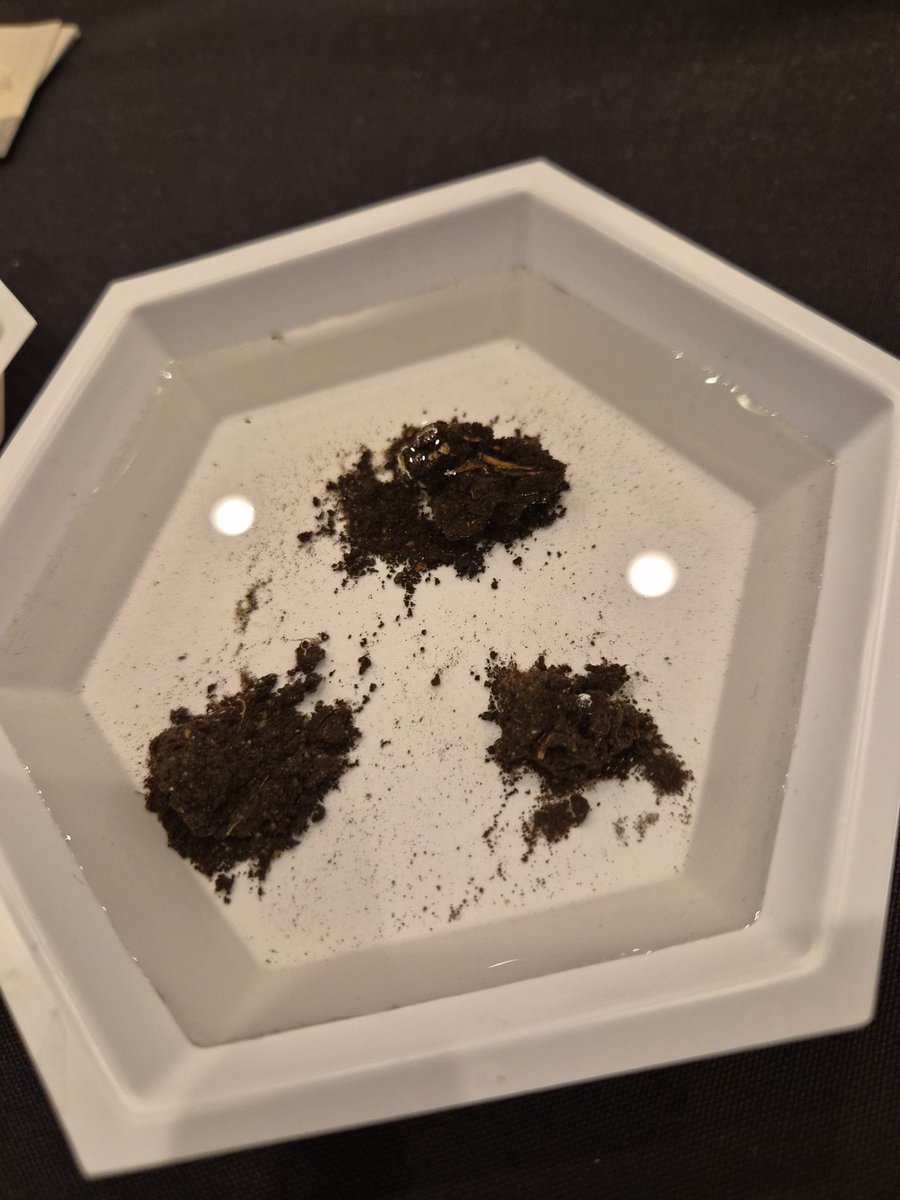 Lana at SE Research Farm tweet media