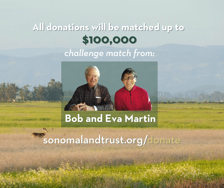SonomaLandTrust's tweet photo. It's Giving Tuesday! Your gift to Sonoma Land Trust today will be generously matched dollar-for-dollar by long-time donors, Bob and Eva Martin. Please double your impact and help us meet this $100,000 match opportunity. https://t.co/QIt1dpQ830 https://t.co/Fd7AA6XoFZ