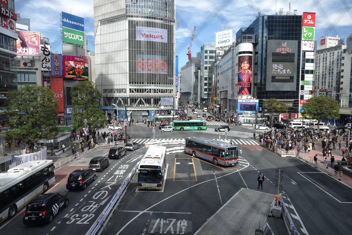 猫兎捜索タイムだよ～！グラとたっぴー、いったいどこに隠れてるでしょうか？🐈‍⬛🐇🔍🔍

#Gula #古拉 #グラ #mascot #吉祥物 #香港 #Hongkong #cat #hkmascot #たっぴー
#板橋 #板橋区 #ねこ #ゆるキャラ #キャラクター #香港吉祥物 #日本吉祥物 #布偶裝 #着ぐるみ #マスコット #ご当地キャラ