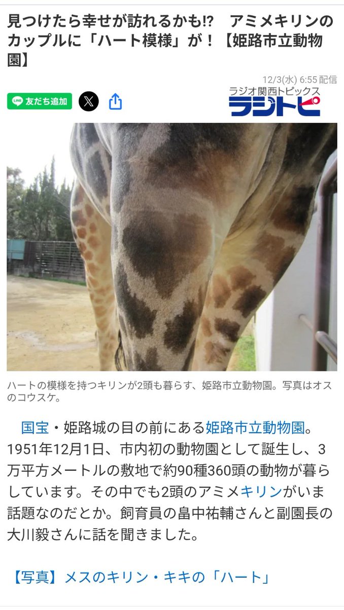 キリン様確認用 ほんまやぁ♥ #すいくり