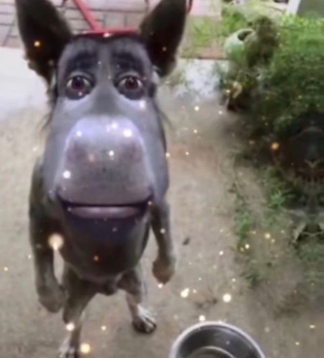 che fuera de joda, la coqueta está más linda