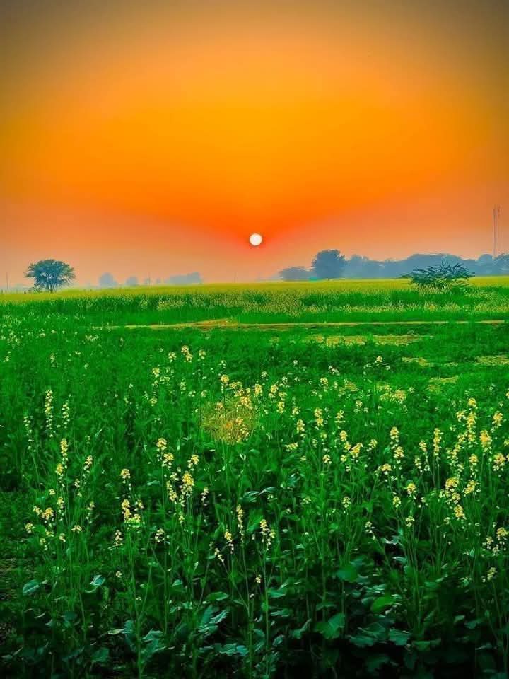 दिसम्बर और जनवरी ऐसे महीना लगते हैं जैसे प्रेमी प्रेमिका हों क्योंकि दिसंबर जैसे ही जनवरी के करीब आता है साल नामक मोहल्ला उन्हें अलग कर देता !

लेकिन रह पीछे रह जाती हैं दिसंबर की यादें जो जनवरी पूरे महीने अपने साथ रखती है! दिसम्बर हरियाली को उगाता है और जनवरी संवारती है!