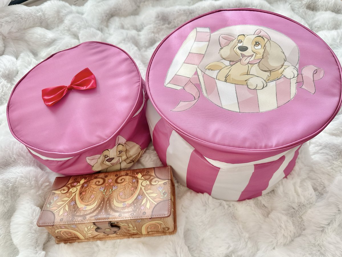 ありがとうございます🥰 メイクブラシのボックスに 前回のラプンツェル