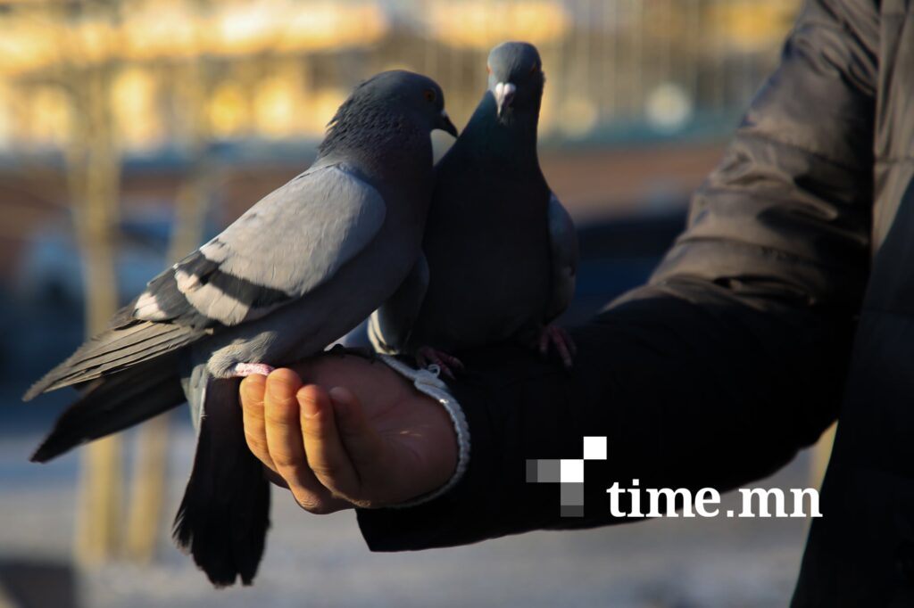 ЦУОШГ-аас дараах мэдээллийг ирүүллээ. Тодруулбал, Арван хоёрдугаар сарын 03-ны өдрөөс эхлэн ихэнх нутгаар хүйтний эрч суларна. time.mn/n/131172