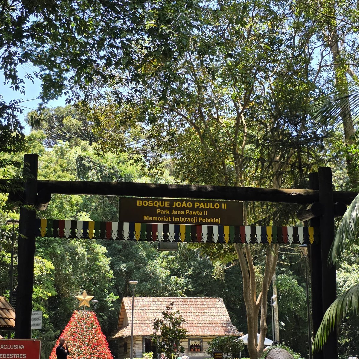 AnaMoretto4's tweet image. #AlphabetChallenge #WeekWforWindows 
#WindowsOnWednesday 
#WoodenWednesday #Woodensday 

Bosque do Papa, Curitiba PR, Brasil.