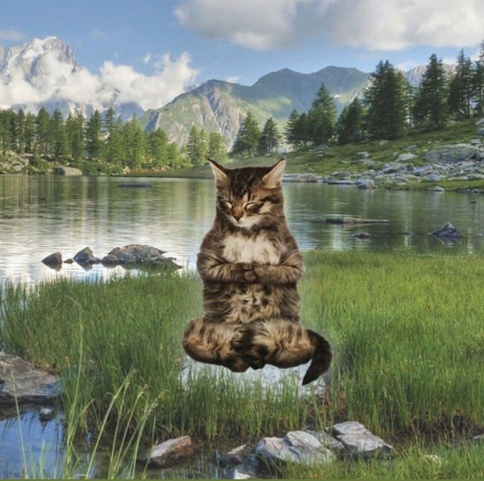 just made and ate garlic bread from leftover brioche rolls from thanksgiving and i see the light now. my equilibrium is balanced and this is in fact a real picture of me right now