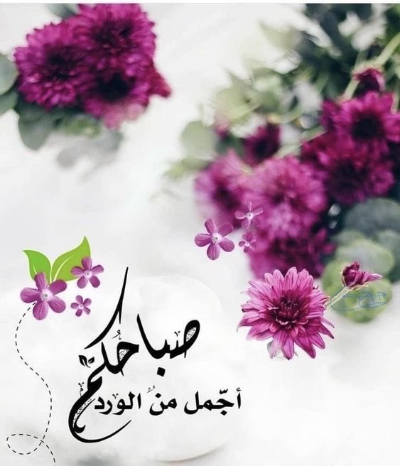 🦋
“كلما أفسح القلب مجالًا للصمت، ازدهرت فيه السكينة؛ فسلام الروح لا تمنحه الدنيا، بل تصنعه أعماق مطمئنة وواثقة.”
#صباح_الخيرᅠ 
#كأس_العرب