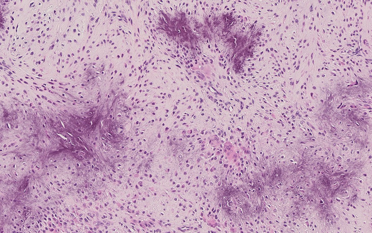 Anthony J Gill tweet media