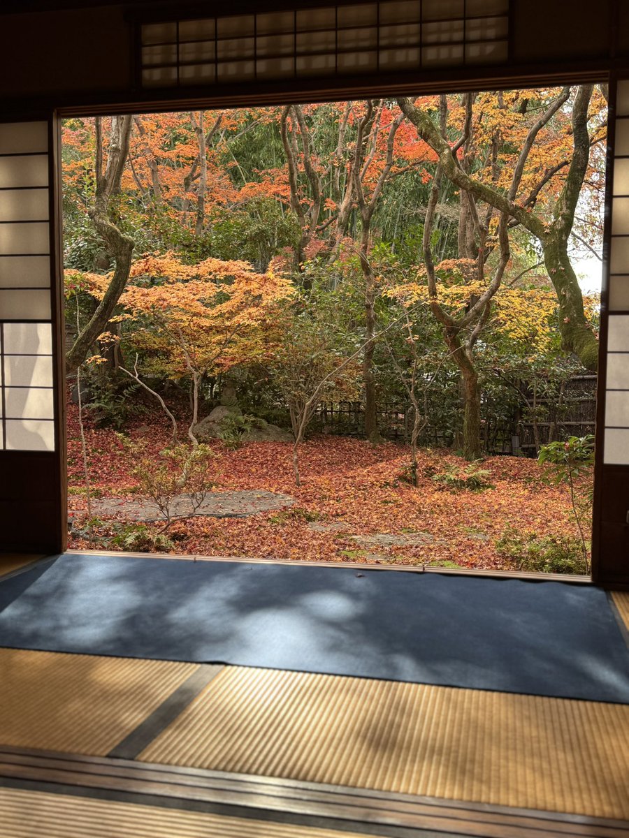 korin_in's tweet image. 一旦庭掃除やめました