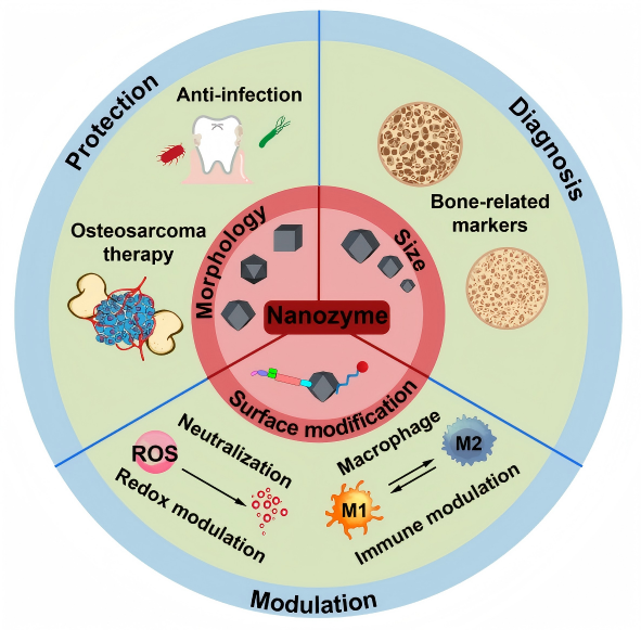 eCM Journal tweet media