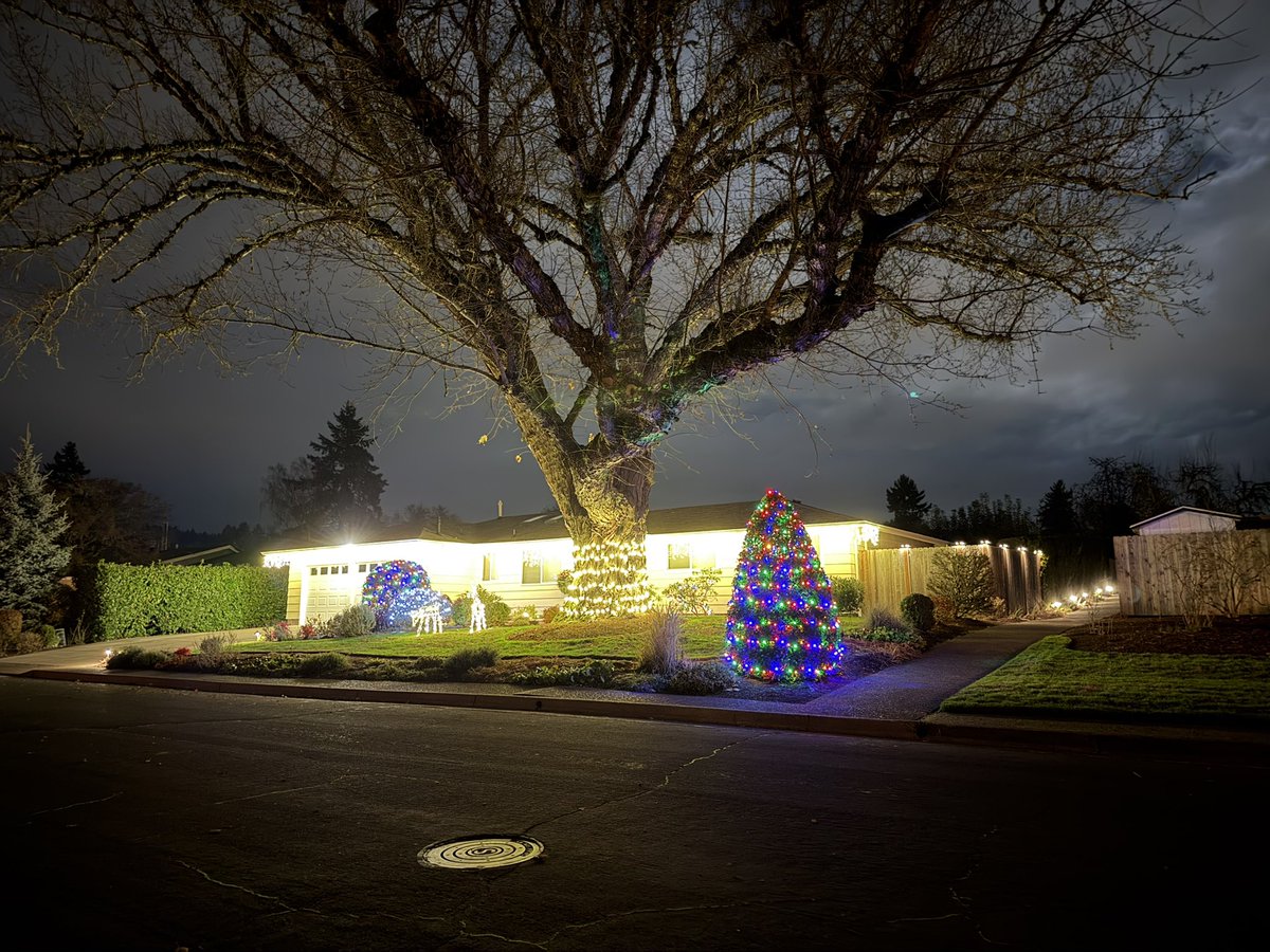 TeslaDylan's tweet image. Got my Christmas lights up! 🎄