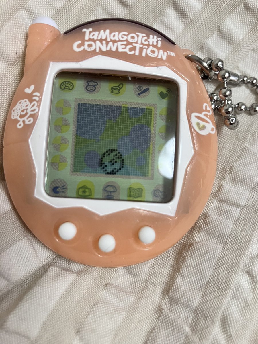 かめきち♬︎♡プロフ必読♬︎♡になります。 海夜育児 やっと充電した⚡️ 3代目の名付け親募集🐣 自分の名前