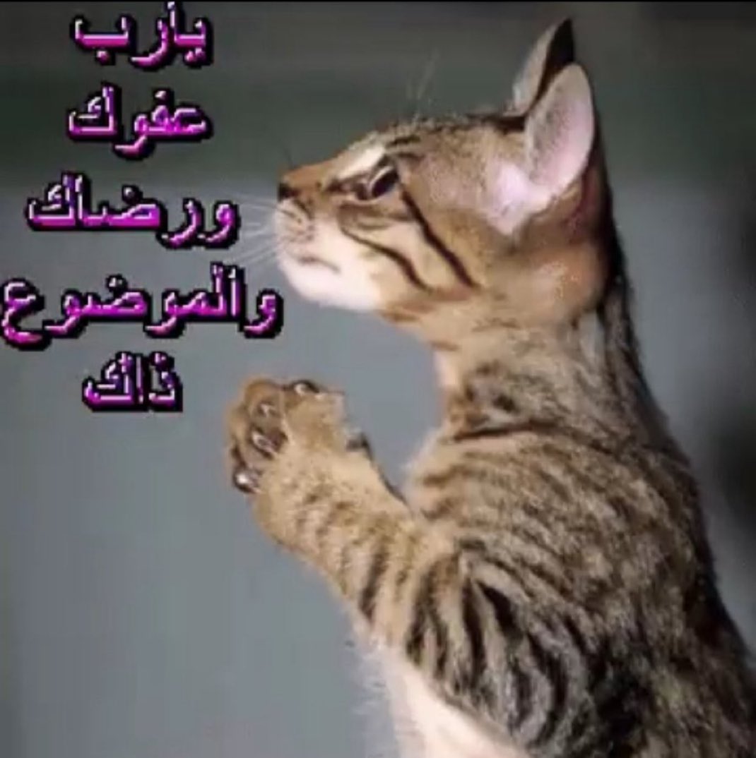 4SHDE's tweet photo. https://t.co/c2XUMUoWQT
