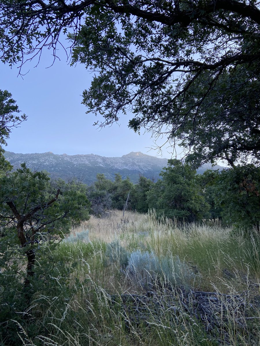 "The urge to find the real facts is destructive only to people or systems (friendships, family dynamics, political dynasties) that are based on lies.

The truth can scare you half to death, but it’s never as destructive as deception."

- Martha Beck