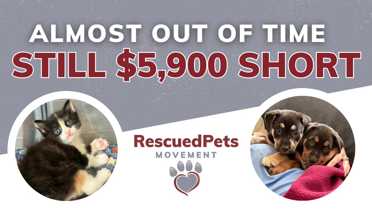 RescuedPetsMovement tweet media