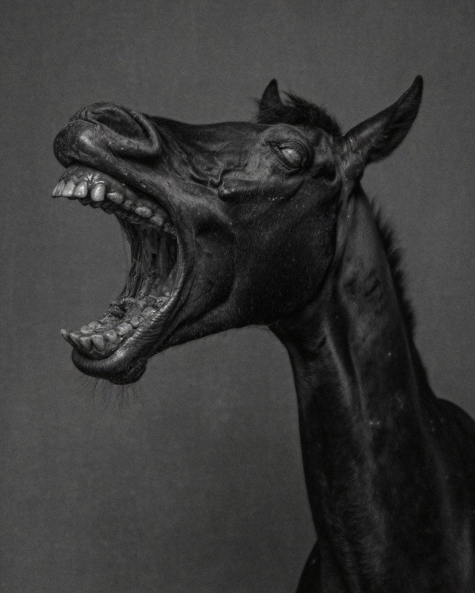 Drew Brucker tweet media