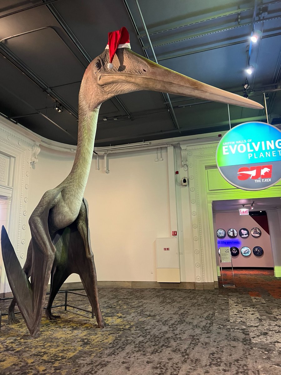 So, <a href="/FieldMuseum/">Field Museum</a>, everyone gets a Santa hat except me, huh? And I'm just supposed to be grateful because I "have my own suite" and am "objectively cooler than the other fossils," right? Wrong. Put the hat on or I'll eat a class field trip.