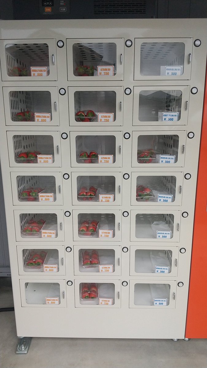874lifehack's tweet photo. 今日から直売始めました！
完熟、普通、傷あり🍓 https://t.co/4iMTITQD2I