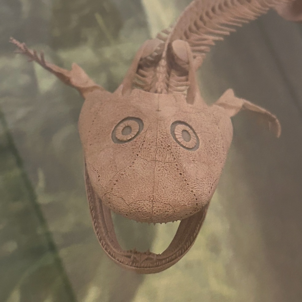 Them: You better not be an enthusiastic Acanthostega fossil when I get there. 

Me: