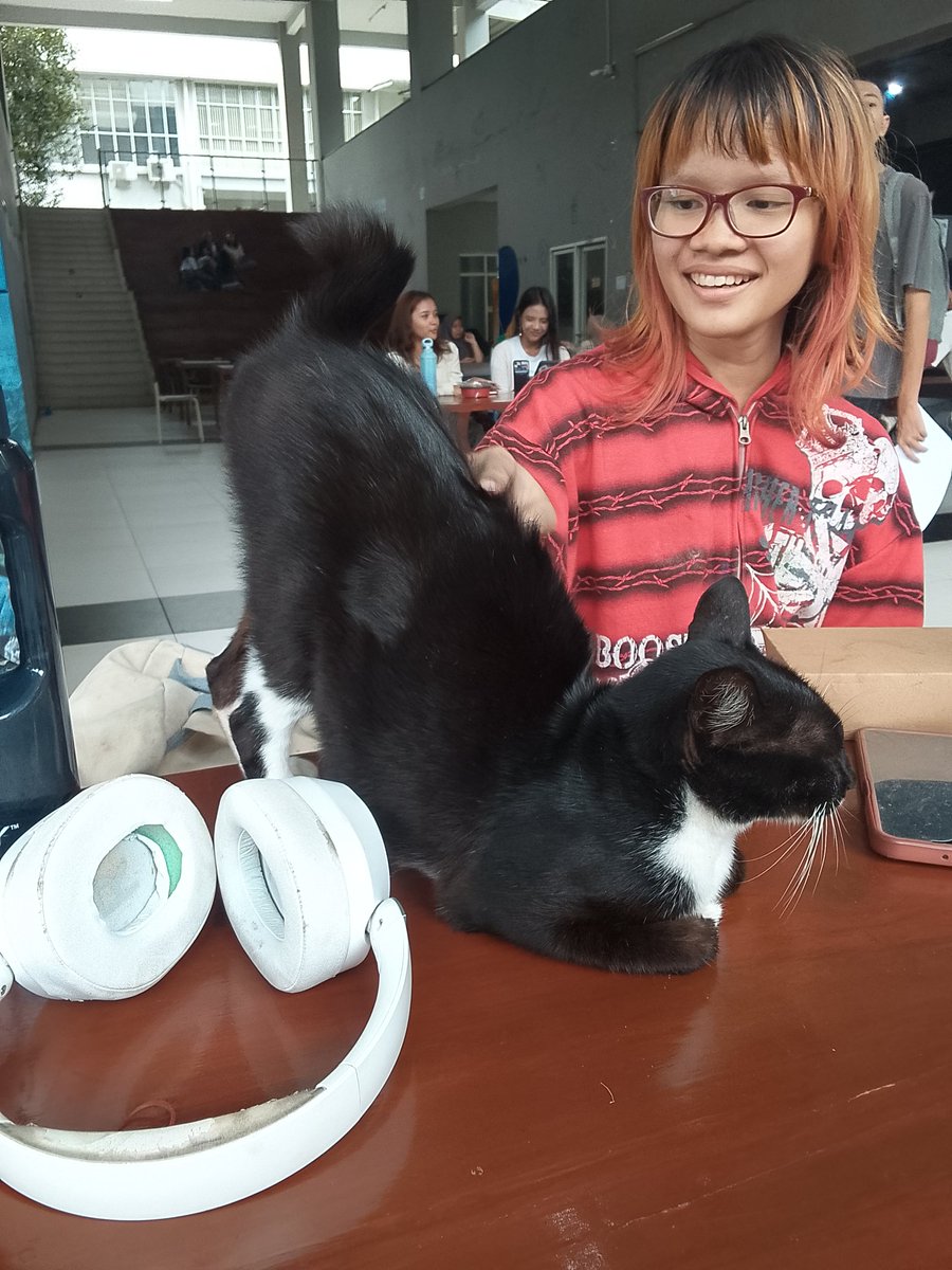 sundayreverie_'s tweet image. Yesterday #sofunny