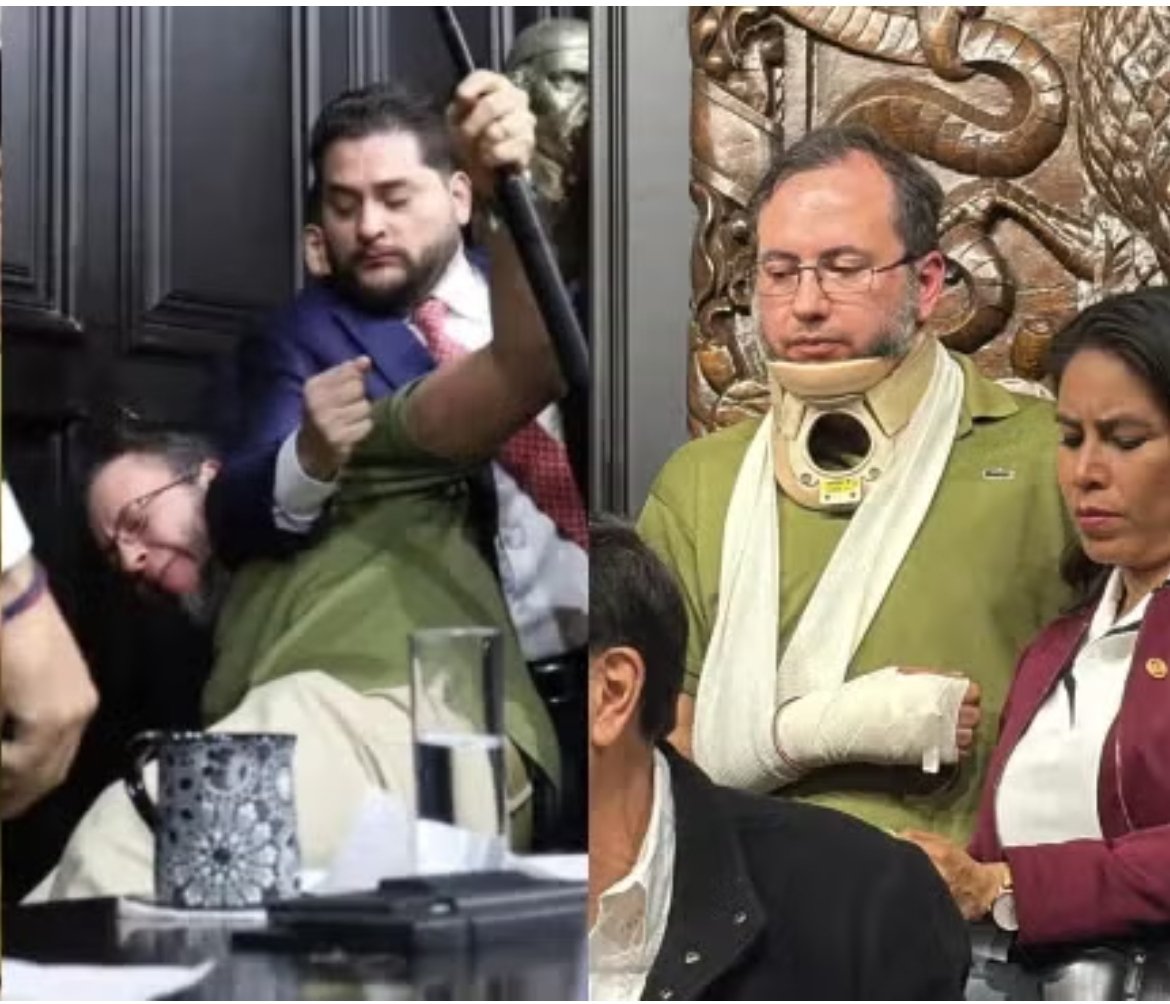 <a href="/CarlosGMancilla/">CarlosGM</a> Aquí pnche Gato rastrero y lame_huevos <a href="/CarlosGMancilla/">CarlosGM</a> Guarro de profesión, Porro por convicción, es el "joven valiente" típico del PRIAN, agrediendo por la espalda a un fotógrafo.
Cobarde de 💩