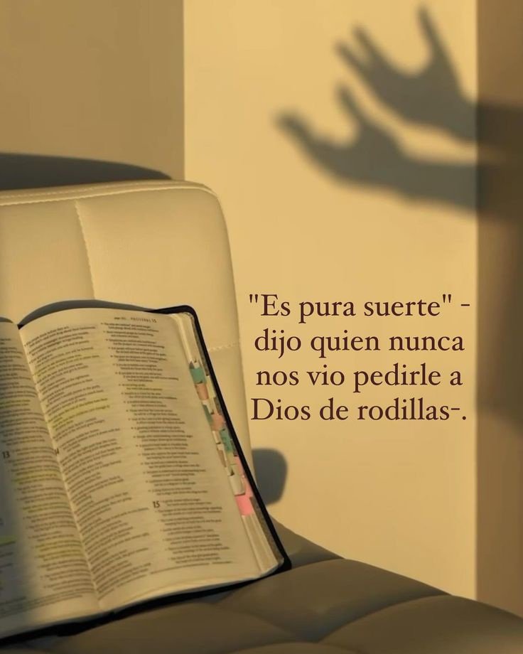 el Siervo (@elsiervo__) on Twitter photo 