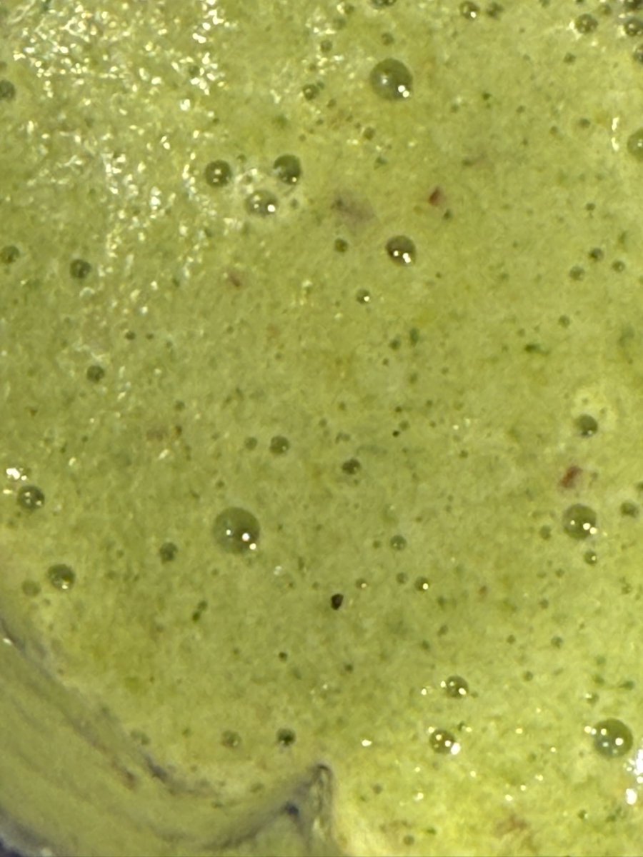 1SoberCoin's tweet photo. Doing a little detox thing , anyone want to join me ?
Anyone have some advices? What should I add ?β¨ππ
turmeric, ginger, cucumber, apple, pineapple, celery, spinach, garlic,black pepper,
#SoberCoin
#HealthyLiving
#HealTheWorld
#Addiction
#Recovery https://t.co/TsOF0bIWI4