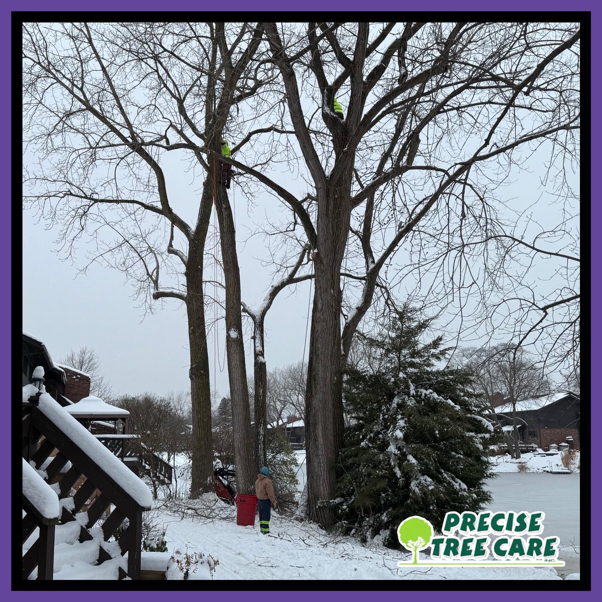 PreciseTreeCare's tweet image. Winter mode, activated, frozen boots included 🥾❄️✅

Photos from Monday &amp;amp; Tuesday this week with Albino &amp;amp; crew, the snow and cold didn’t stop them. We work year round. When conditions are safe, our crews are out doing what we do best, keeping your projects moving forward 🌲💪