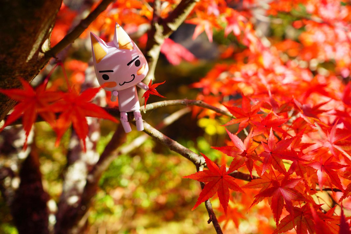 じゅんじゅん (@kagajun0321) / Posts / X