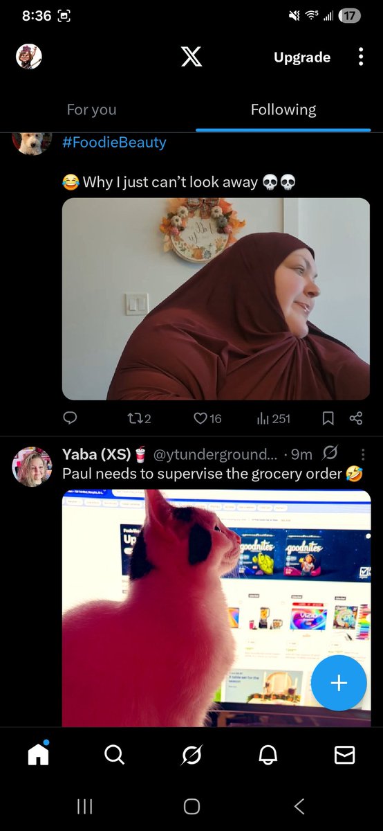 TenaciousHHHH's tweet image. Someday I'll find it...the rainbow connection