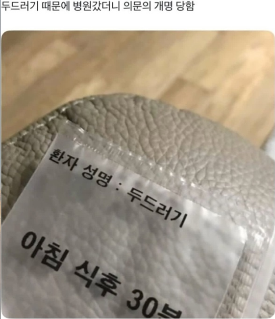 견백 tweet media