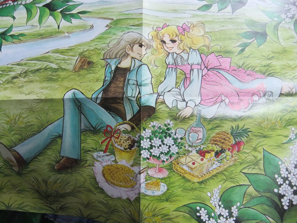 先週購入したキャンディのポスター2枚 ブドウの方はもってなかった