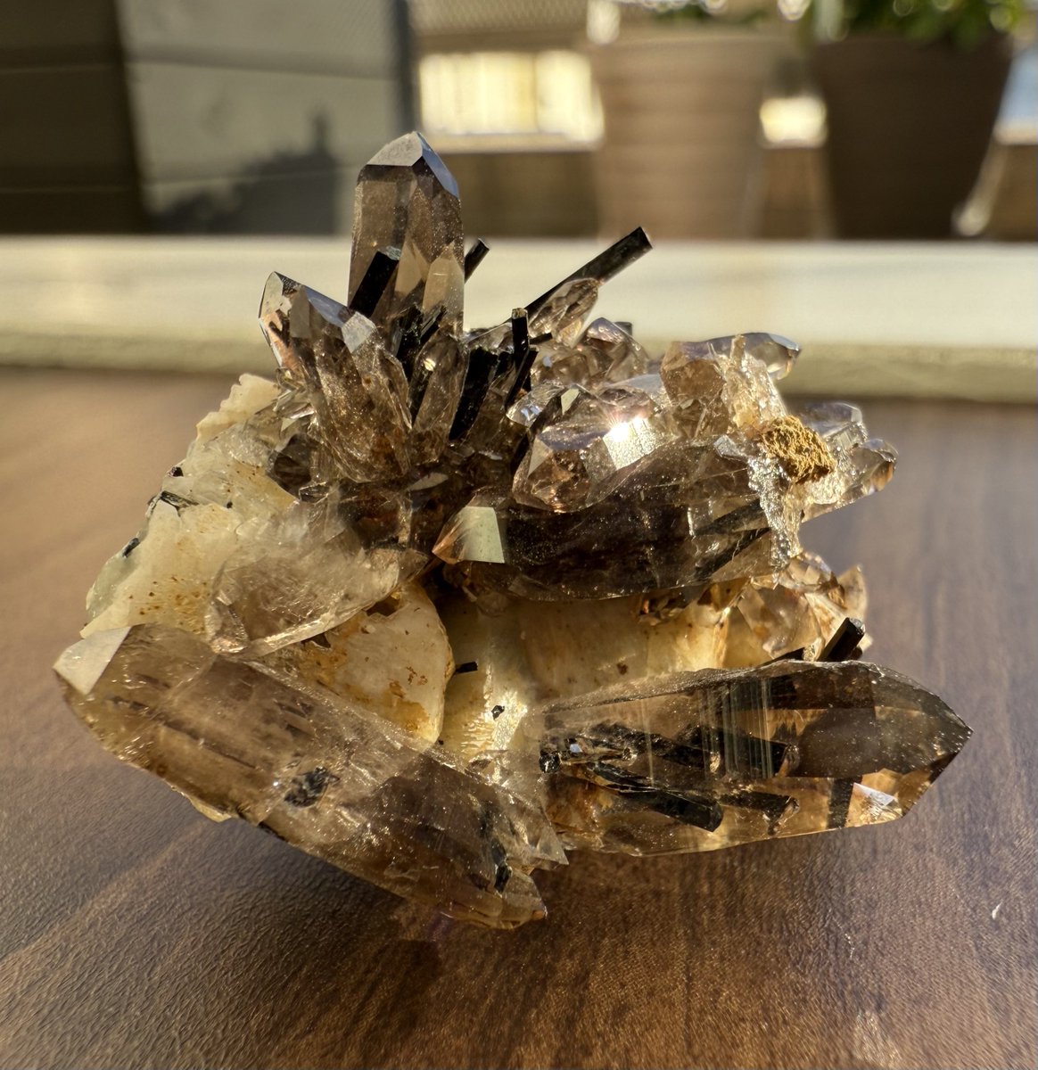 sierrarium's tweet photo. #鉱物アドベントカレンダー2025

足場の鉱物が不安定そう(？)なのに、そこからざくざく生えてる逞しい水晶がたまらなく可愛いと思う標本

3日目　Smoky Quartz
Mt. Malosa, Malawi https://t.co/kQOSYaEJZY