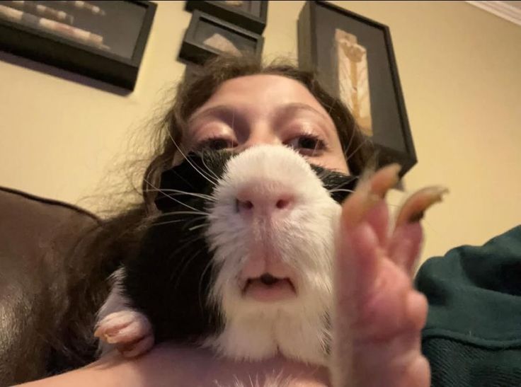 iti malias tweet media