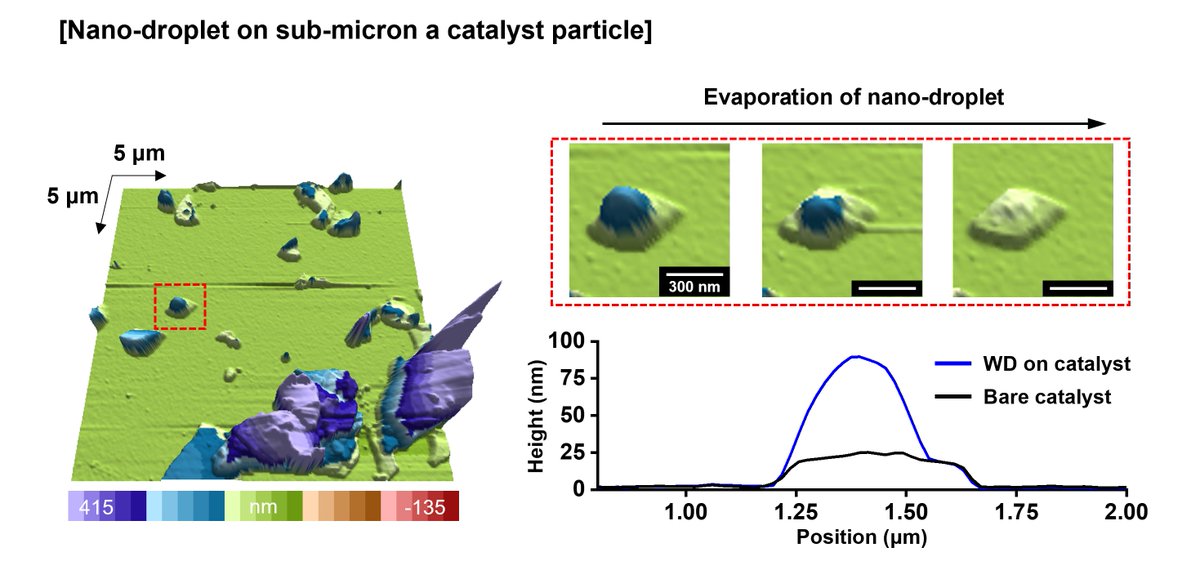 kaistpr's tweet image. KAIST &amp;amp; SNU researchers achieved the first real time AFM visualization of nanoscale water droplets!This breakthrough enables precise wettability analysis at the nano level-critical for hydrogen catalysts, semiconductor processes, and next gen battery technologies#KAIST#Nanotech
