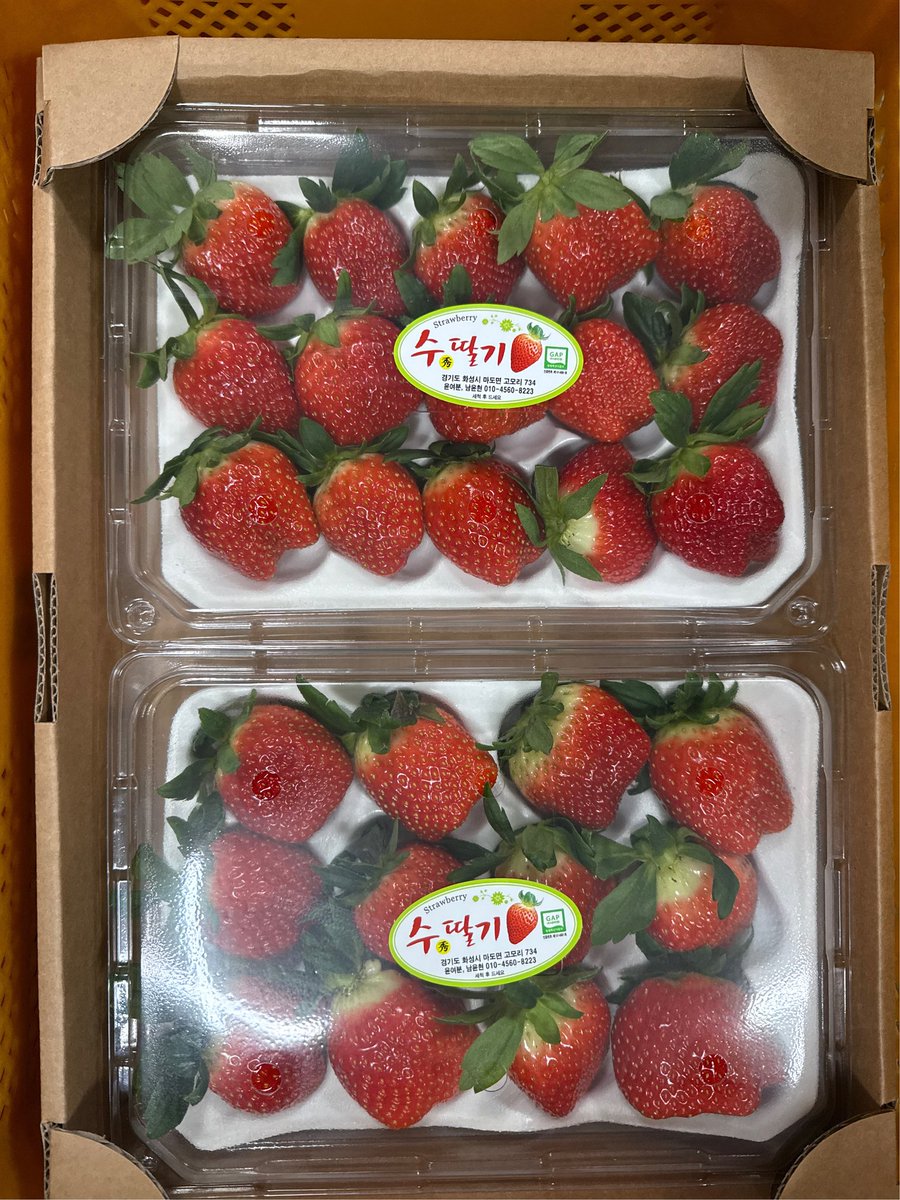 skrnfkfzz's tweet photo. 딸기 판매해요 킹스 330g 2팩 택포 24000원 설향 500g 2팩 택포 34000원 판매합니다 https://t.co/MeGbKO4tcb