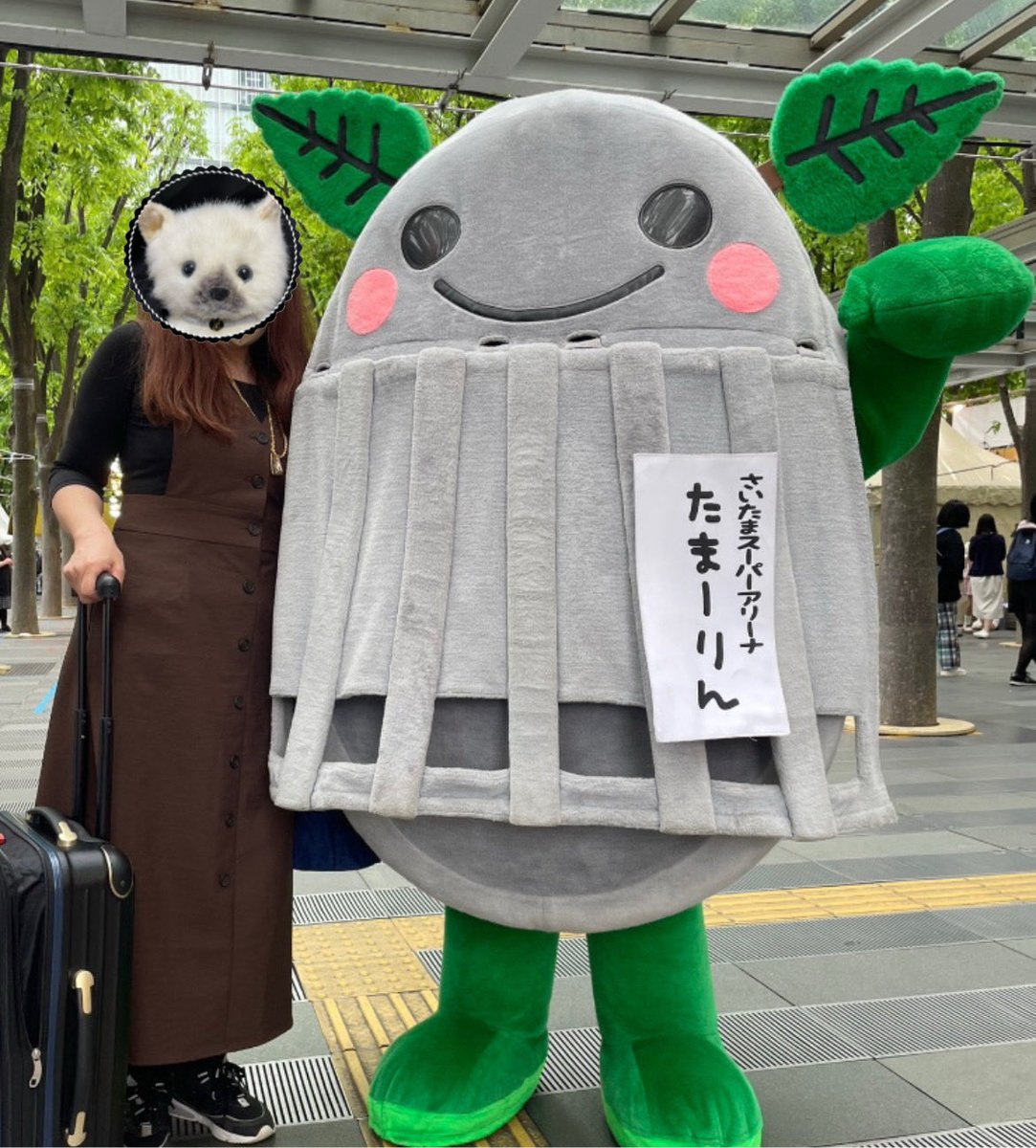 めぐちゃ めぐちゃ🧸 (@Megcha7) / Posts / X