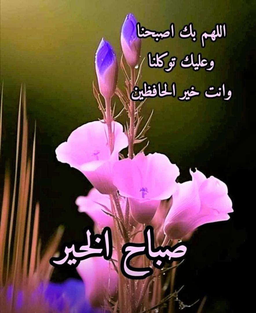 •|〰'🤍🌿..  صباح الخير لكُل الذين تُسعدهم ابتسامات العابرين .. الذين يعرفون حق المعرفة أن الحياة تفاصيل صغيرة 🌹🌹
