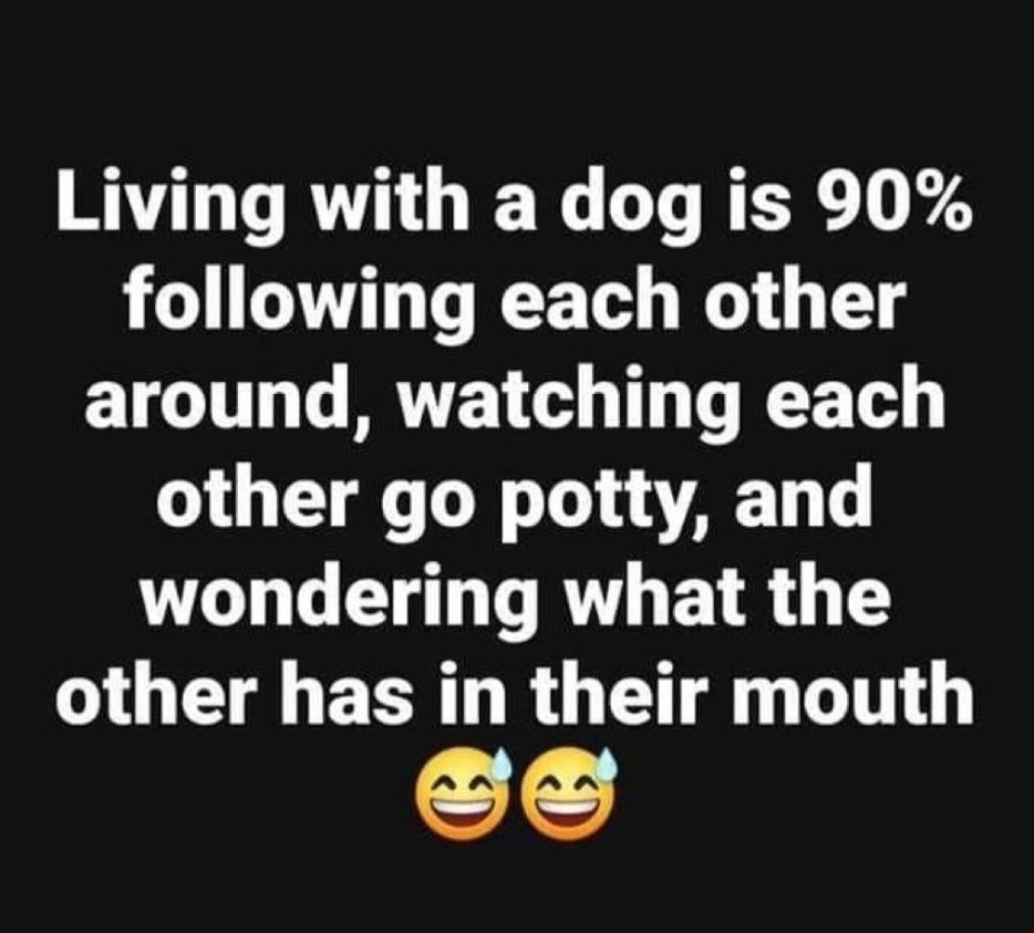 1971kamo (@1971kamo) on Twitter photo 