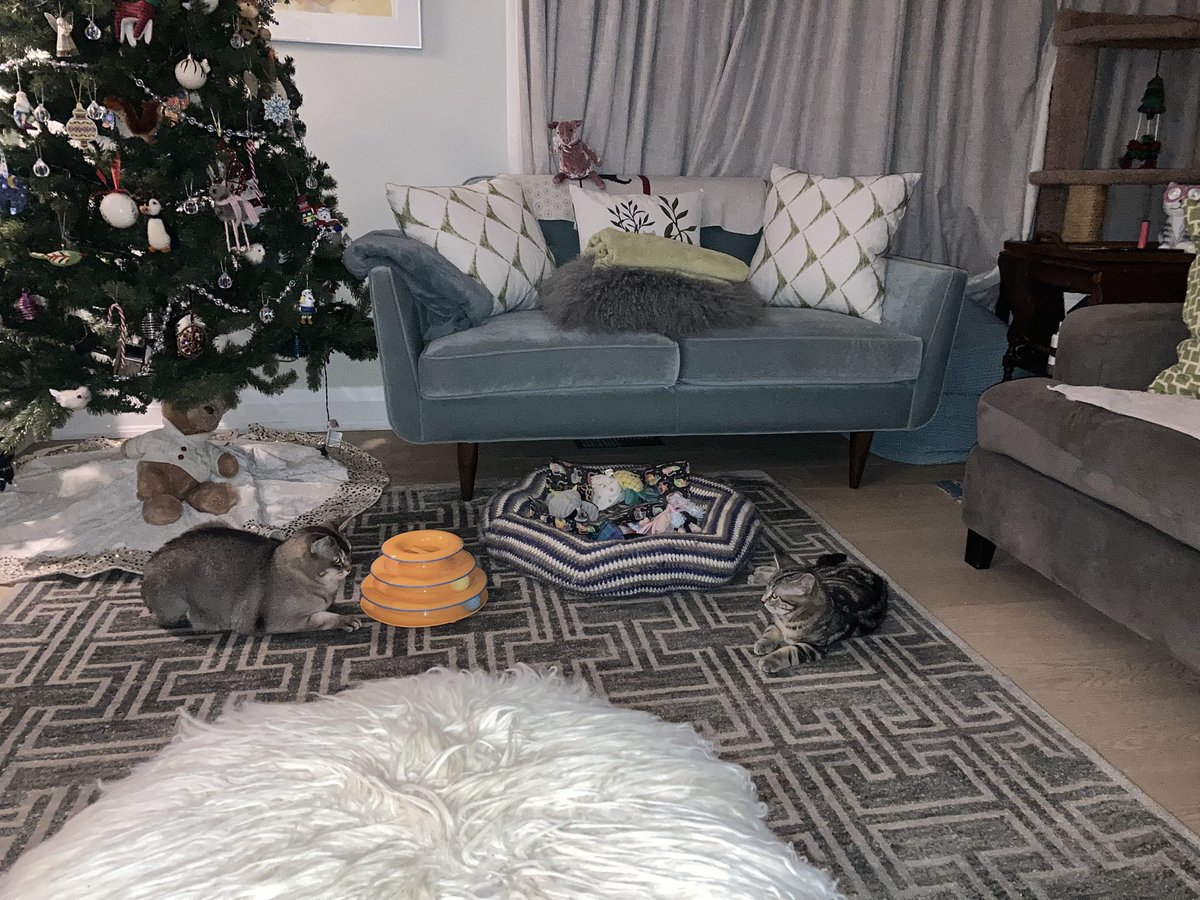 leet_muffin's tweet image. What fresh hell is this?

Actually, they are starting to integrate very well. Phew