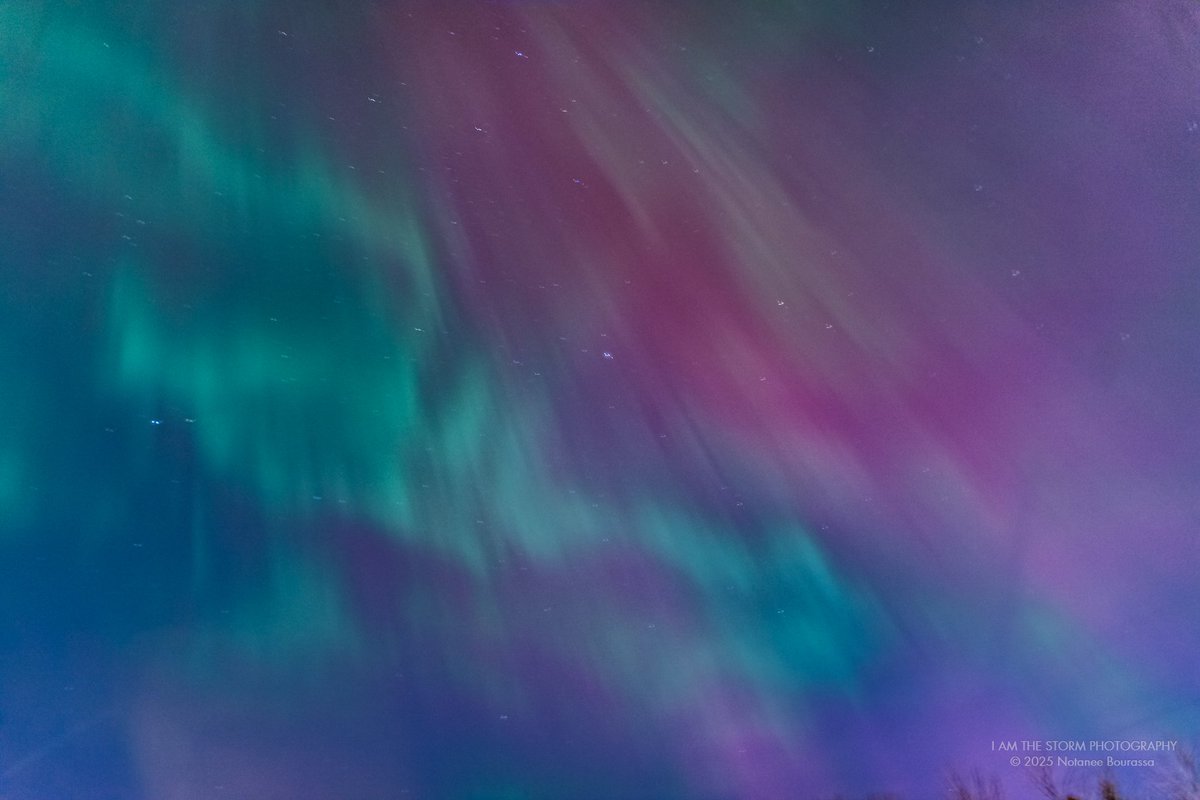 Mr. Notanee Bourassa (SSM x 2) tweet media