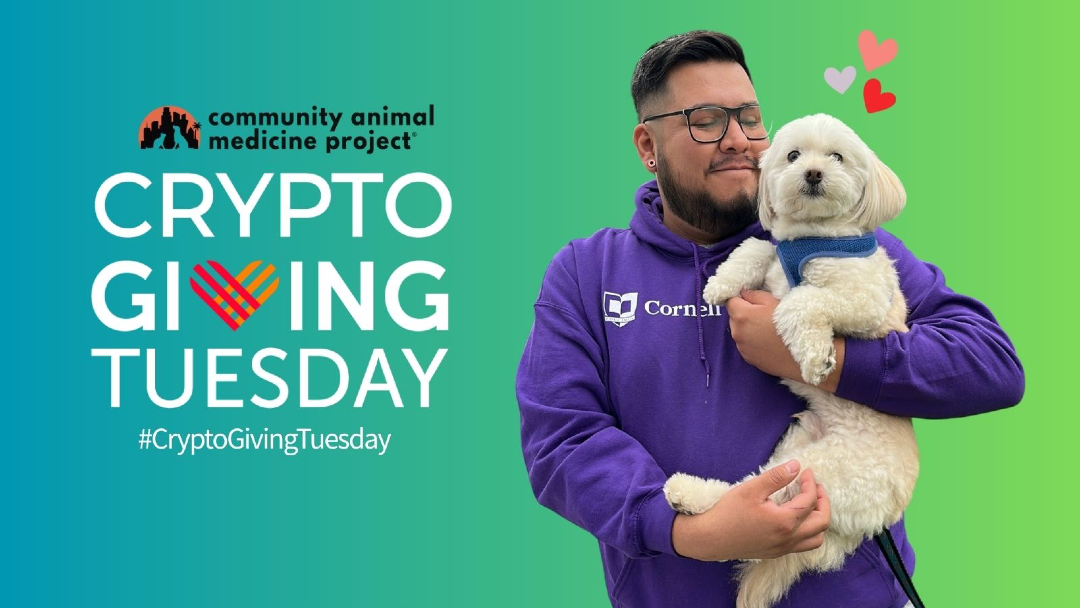 campclinics's tweet photo. Happy #CryptoGivingTuesday! Your gift helps LA pets get lifesaving vet care. Impact: $60 microchips 2 cats • $125 spays 2 cats • $250 spays 2 dogs • $600 sponsors a kennel • $1500 funds treatment for a sick pet. Give crypto: https://t.co/I4FF3TsHNy #CryptoForImpact https://t.co/B3VBmBirTW
