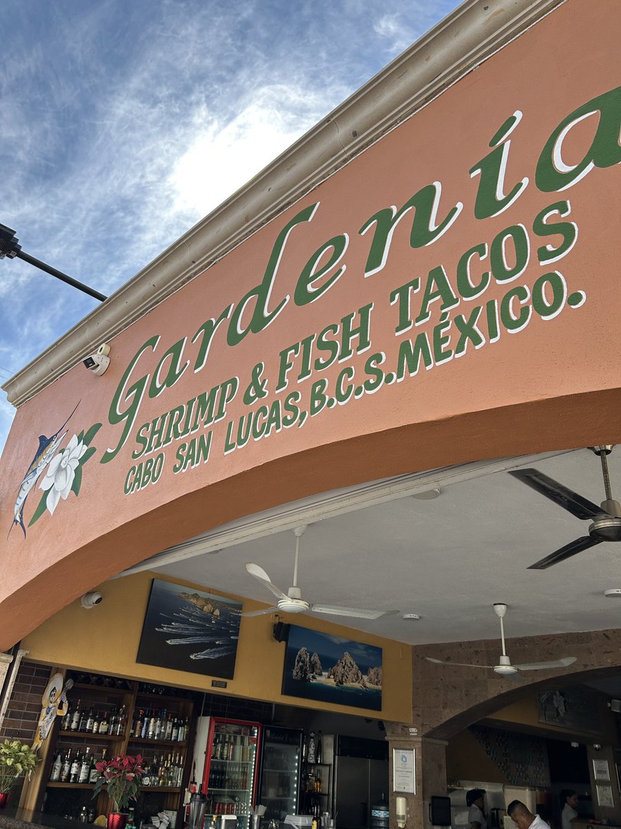 dontsuki's tweet photo. 📍Cabo San Lucas
ガーデニアのフィッシュタコスが…
マジで人生アップデートしてくる味だった🤯🌮
これ食べずにカボを語るな。
#LosCabos #Tacos #FishTaco #メキシコ飯 #海の幸 https://t.co/69jTxYhnHD