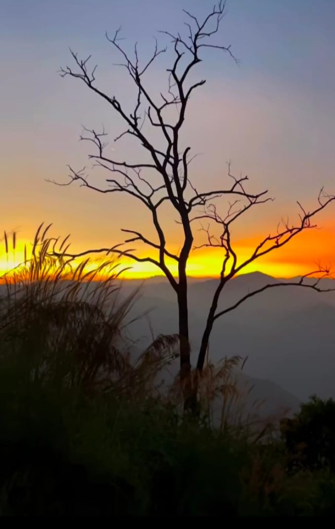 If you feel like you're losing everything remember that trees lose their leaves every year and they still stand tall and wait for better days to come
■ JOHNSON GEORGE
》Trainer+Consultant: Management Systems, Soft Skills,Business Excellence 
~> Email: mexsys4excellence@gmail.com